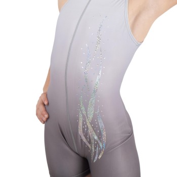 Survêtement Holo Gris